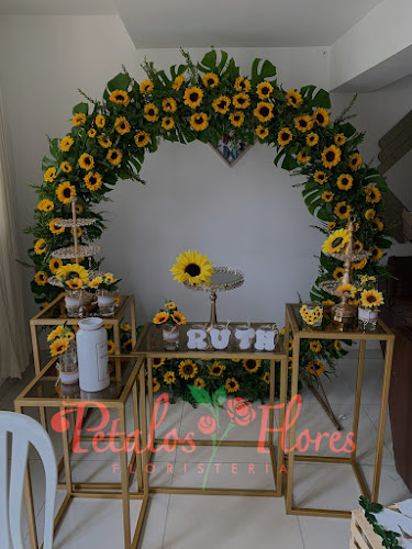 Comentarii opinii despre Pétalos y Flores