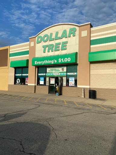 Dollar Store «Dollar Tree», reviews and photos, 402 E Clifty Dr Ste 4, Madison, IN 47250, USA