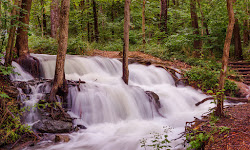 Parkville Nature Sanctuary