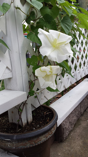 RV Park «Dallas Hi Ho RV Park», reviews and photos, 200 West Bear Creek, Glenn Heights, TX 75154, USA