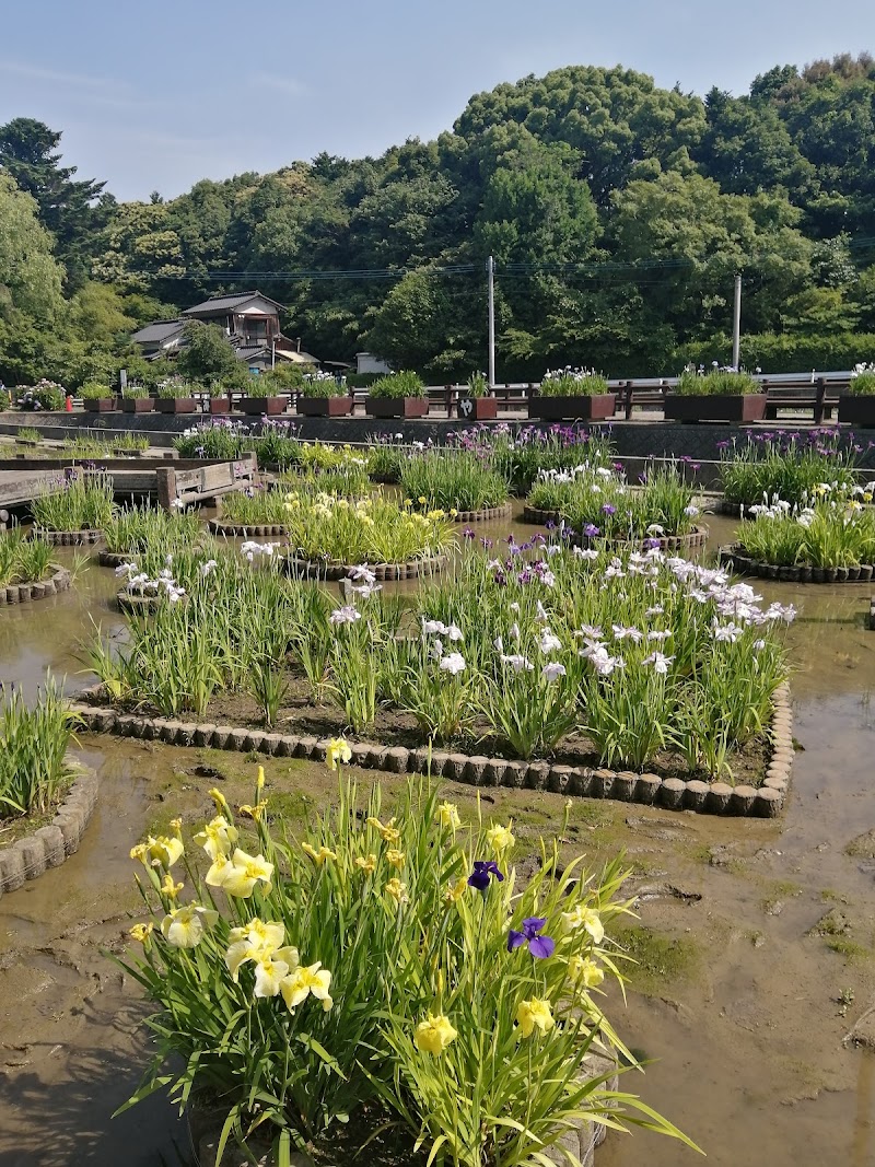 みやこ町豊津陸上競技場