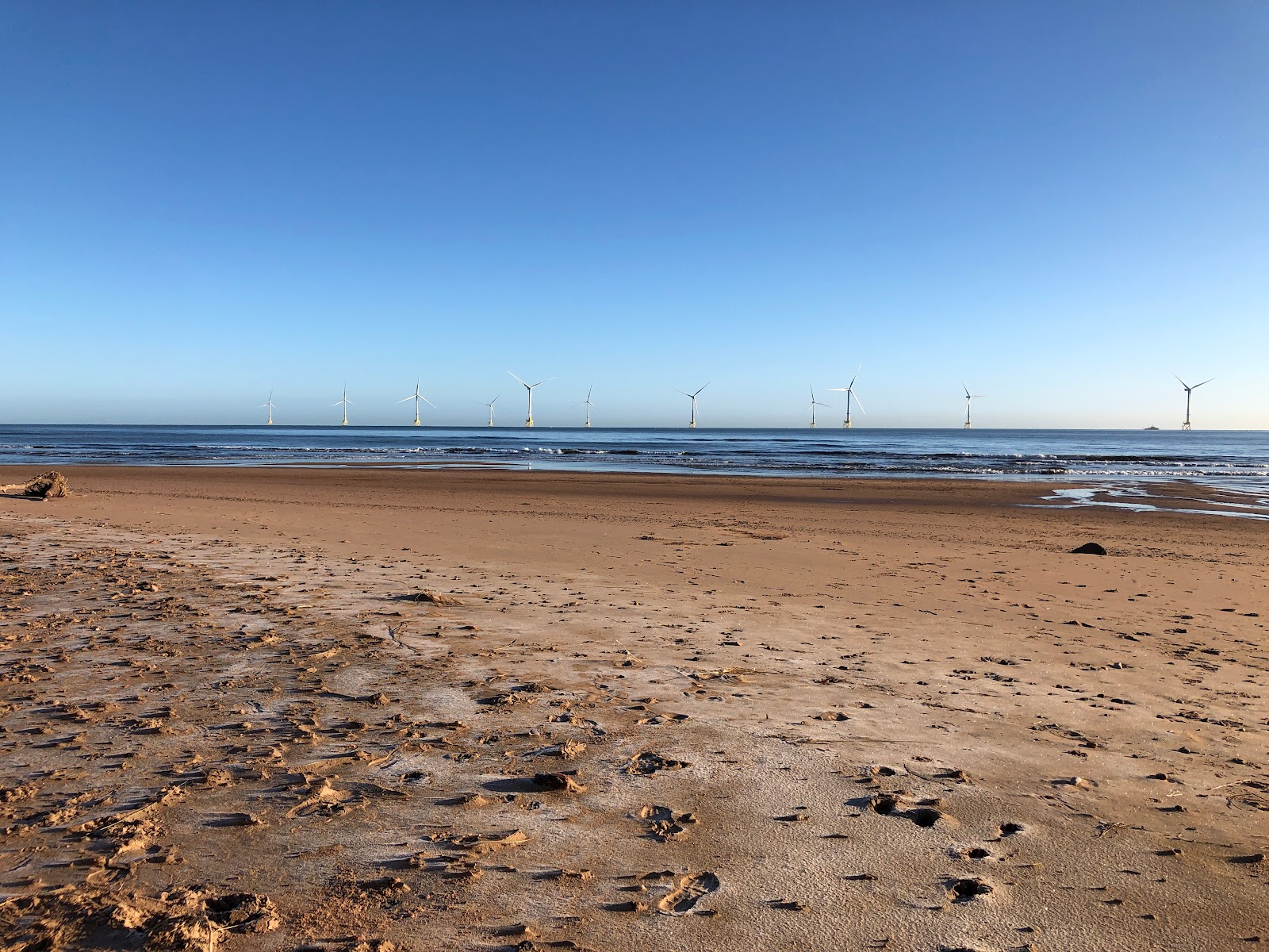 Foto van Blackdog Beach gelegen in een natuurlijk gebied