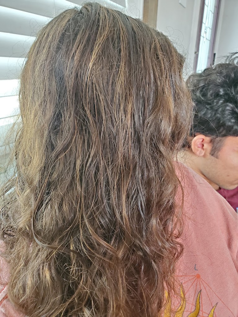 Blush Hair Studio Wesley Chapel, FL 33544 Services and Reviews