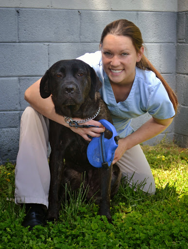 Pets Best Friend Veterinary Hospital image 1