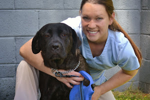 Pet's Best Friend Veterinary Hospital