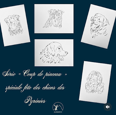 ALTIGRAPHY à Gaillagos