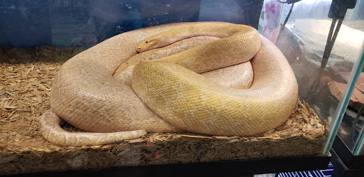 Pet Store «Wet Pet & Reptile Center», reviews and photos, 429 Eastern Blvd, Essex, MD 21221, USA