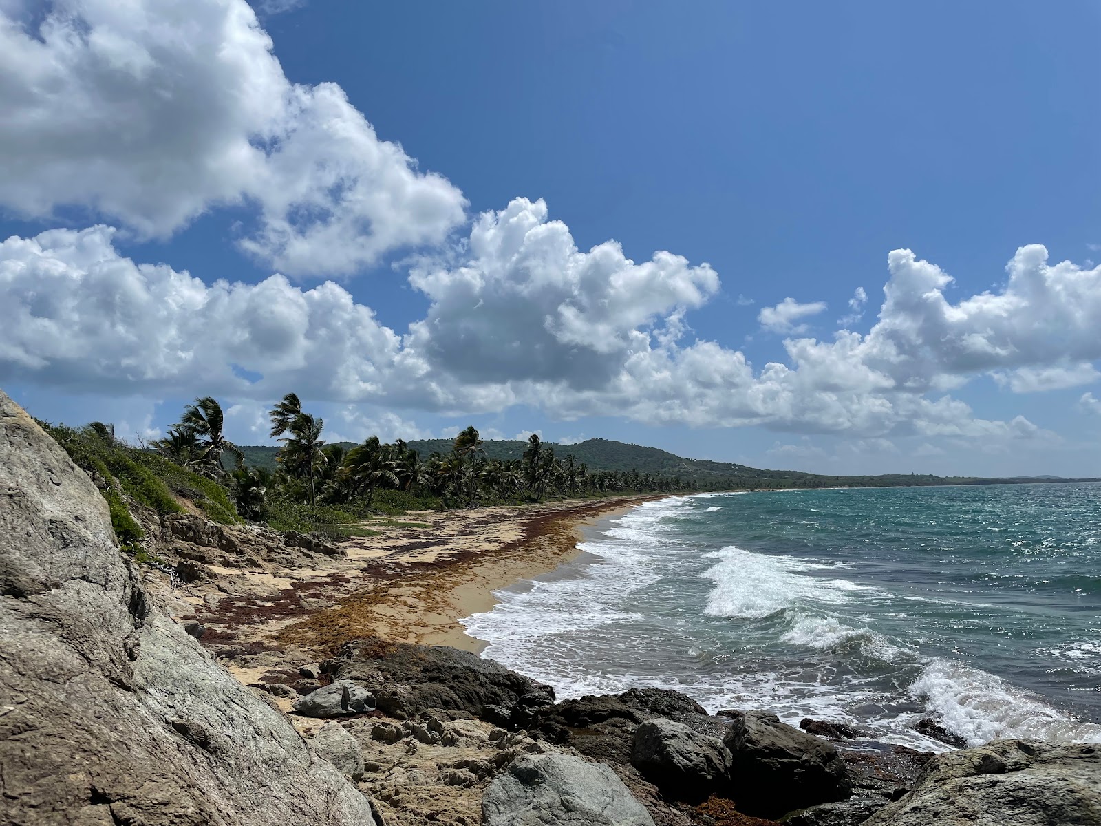 Foto di Playa Grande - luogo popolare tra gli intenditori del relax