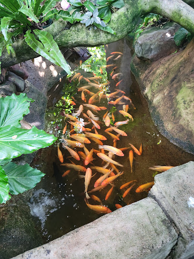 Zoo «Rainforest Pyramid», reviews and photos, 1 Hope Blvd, Galveston, TX 77554, USA