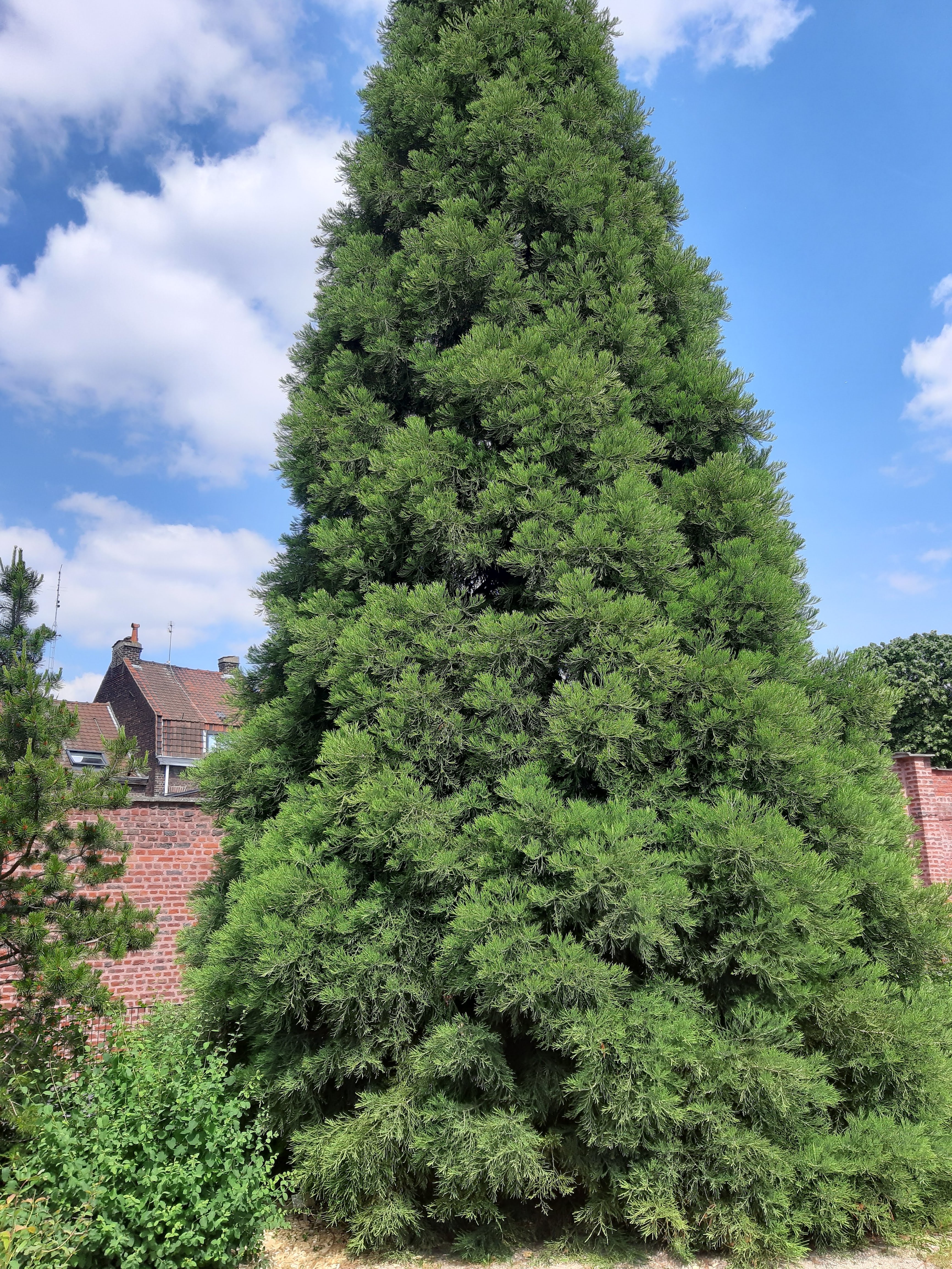 Photo n° 18 de l'avis de ka.i fait le 14/06/2019 à 13:23