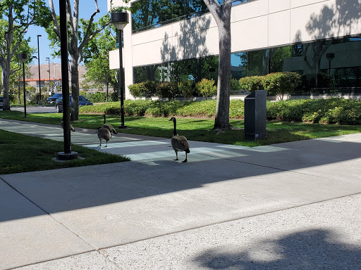 Fremont Office Center