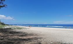 Egrets Beach'in fotoğrafı vahşi alan