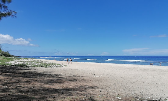 Egrets Beach