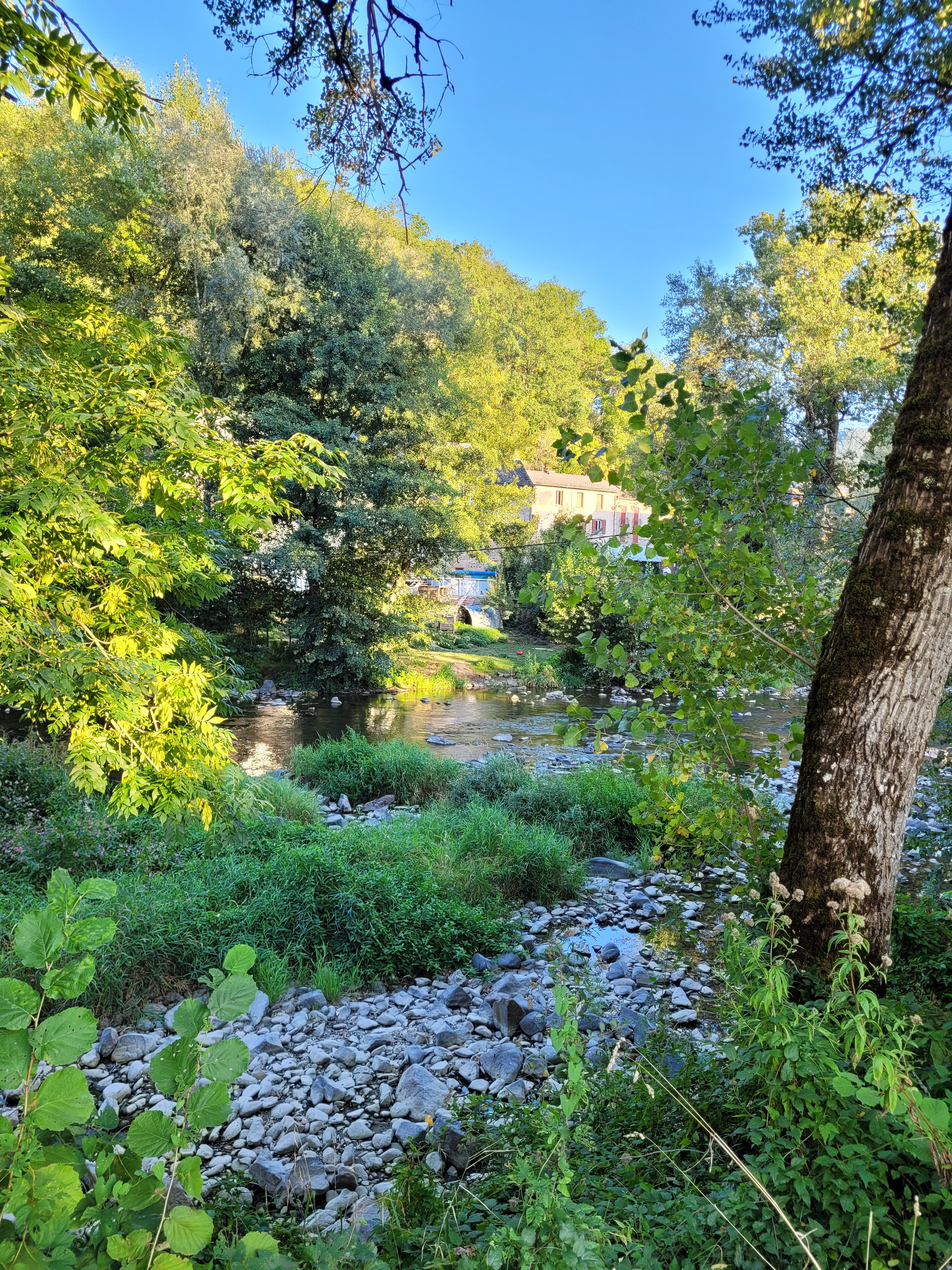 Photo n° 4 de l'avis de Bennie. fait le 11/09/2023 à 17:43