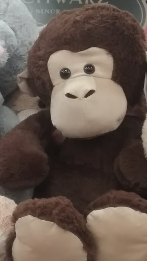 Craft Store «Michaels», reviews and photos, 3318 Gateway St, Springfield, OR 97477, USA