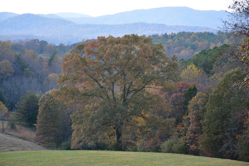 Real Estate Agency «United Country Piedmont Real Estate», reviews and photos, 7608 Lakota Rd, Remington, VA 22734, USA