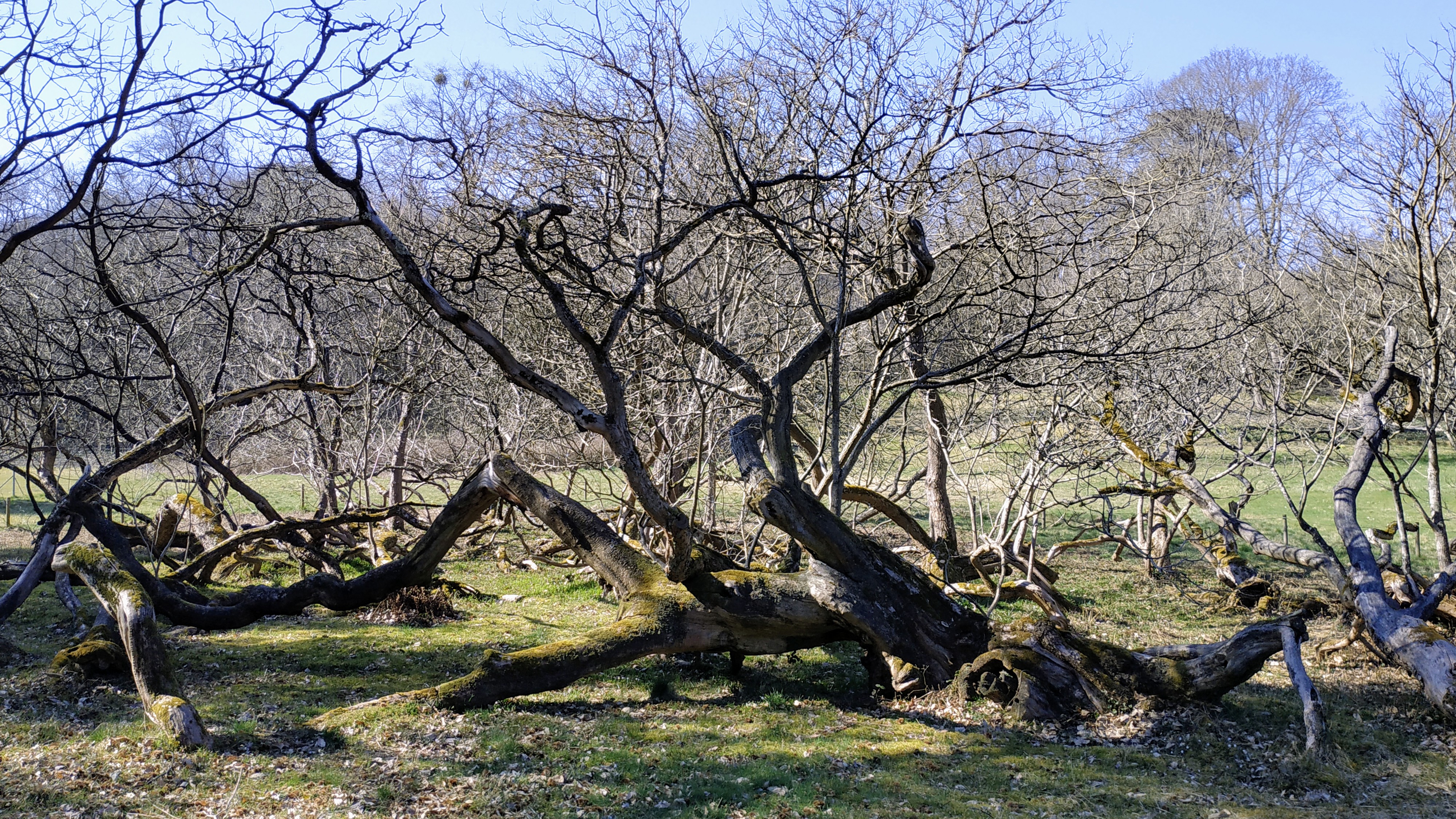 Photo n° 37 de l'avis de The.a fait le 08/03/2022 à 16:46