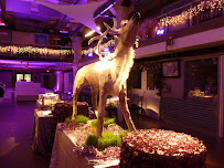 621events - Photo 2 - Car repair in , Washington