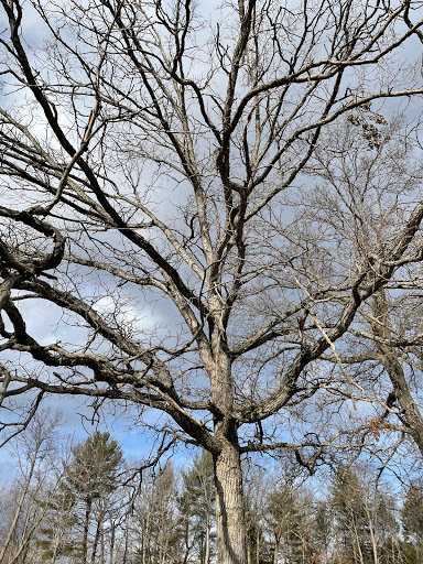 Museum «The Old Manse», reviews and photos, 269 Monument St, Concord, MA 01742, USA