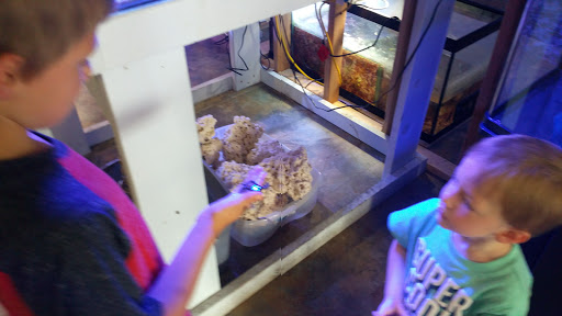 Tropical Fish Store «Aquatic Treasures», reviews and photos, 2533-A Vandalia St, Collinsville, IL 62234, USA