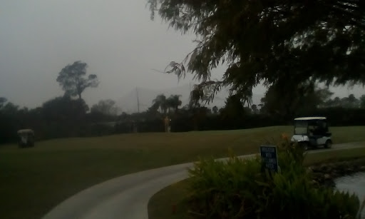 Golf Course «Crane Lakes Golf & Country Club», reviews and photos, 1850 Crane Lakes Blvd, Port Orange, FL 32128, USA