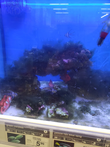 Pet Supply Store «Petco Animal Supplies», reviews and photos, 1570 Crater Lake Dr #300, Kennesaw, GA 30152, USA