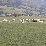 Photo n° 2 de l'avis de mireille.i fait le 19/09/2020 à 13:13 pour Espace Villard de Lans Correncon à Villard-de-Lans