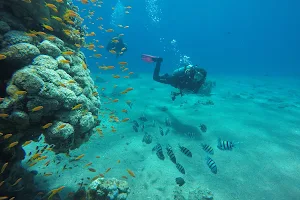 Sigala Diving School image