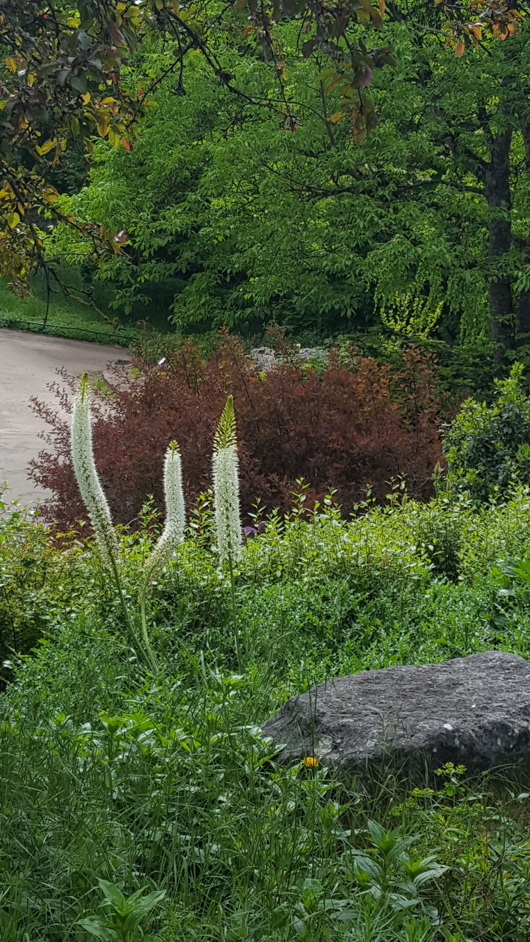 Photo n° 7 de l'avis de Sandrine.e fait le 22/05/2019 à 07:42