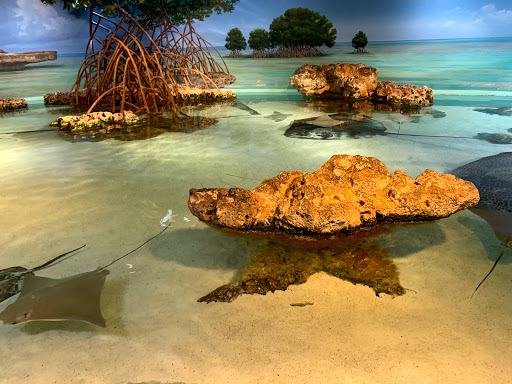 New England Aquarium, 1 Central Wharf, Boston, MA 02110