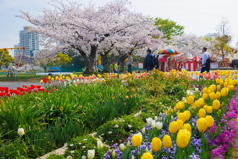 舞鶴公園の花壇