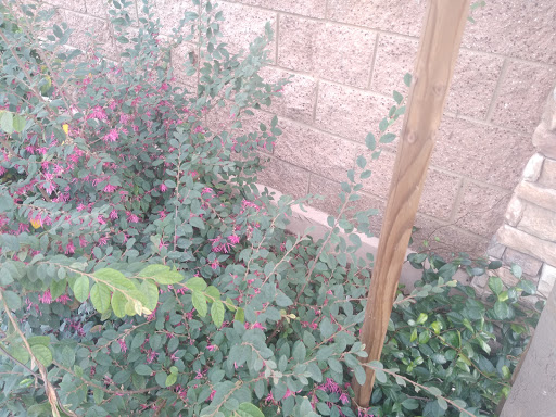 Florist «Secret Garden Florist», reviews and photos, 6076 Lincoln Ave, Cypress, CA 90630, USA