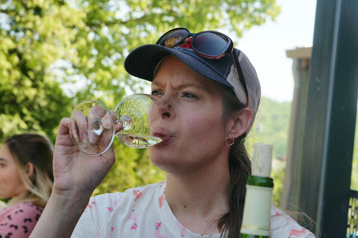 Vineyard «Saint Paul Mountain Vineyards», reviews and photos, 588 Chestnut Gap Rd, Hendersonville, NC 28792, USA