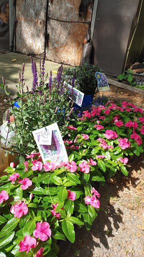 Garden Center «Blooms at Belle Mead», reviews and photos, 1980 US-206, Belle Mead, NJ 08502, USA
