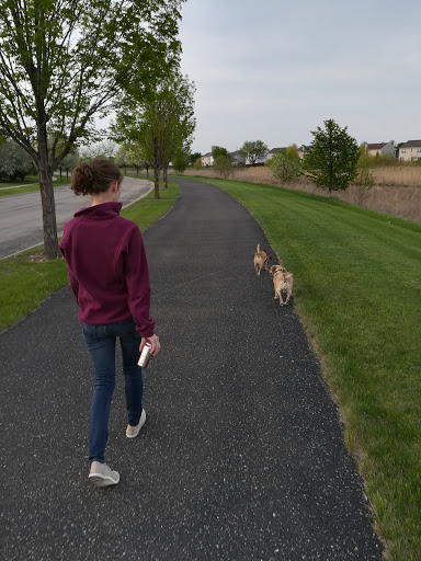 Park «Tuscany Trail Park», reviews and photos, 445 Grape Vine Trail, Oswego, IL 60543, USA