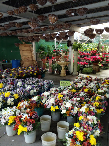 Escuelas de floristeria en Caracas