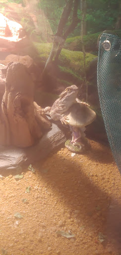 Pet Supply Store «OddBallPetFactory.com», reviews and photos, 8485 Plaza Blvd NE, Spring Lake Park, MN 55432, USA