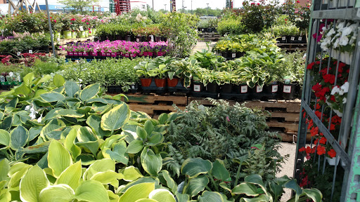 Department Store «Rural King», reviews and photos, 1416 Hamilton Richmond Rd, Hamilton, OH 45013, USA