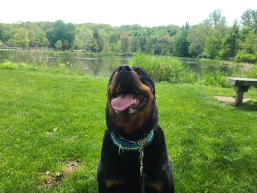 Nature Preserve «Hidden Oaks Conservation Area», reviews and photos, 419 Trout Farm Rd, Bolingbrook, IL 60440, USA