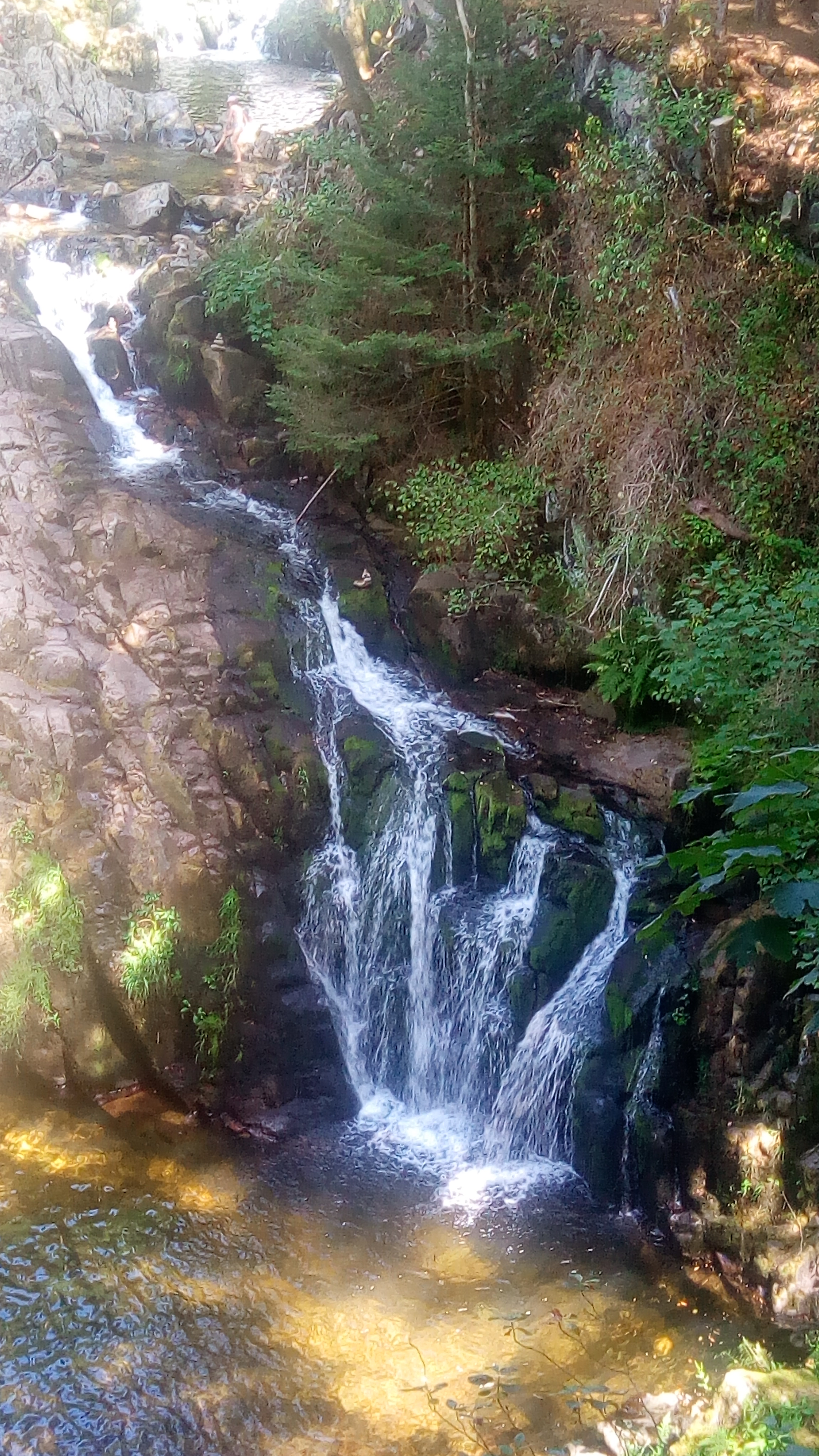 Photo n° 1 de l'avis de annie. fait le 10/08/2019 à 17:32