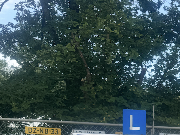 Review afbeelding van Nissty K