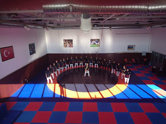 Kırıkkale Üniversitesi karate Sevenler Topluluğu