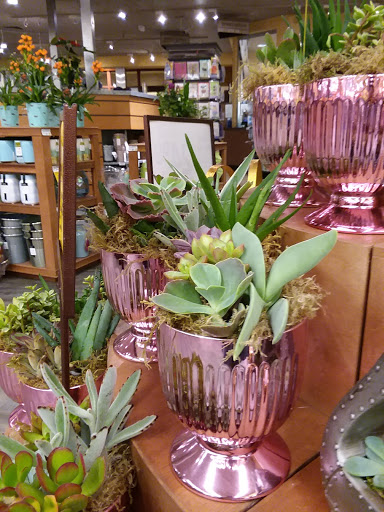 Grocery Store «Safeway», reviews and photos, 600 W Franklin St, Shelton, WA 98584, USA