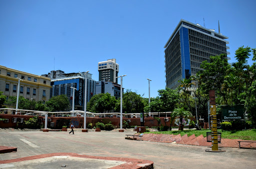 Marshes in Asuncion