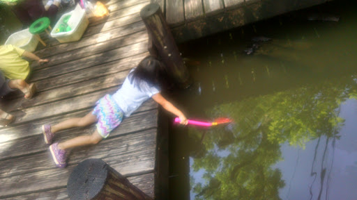 Non-Profit Organization «Houston Audubon Society», reviews and photos, 440 Wilchester Blvd, Houston, TX 77079, USA