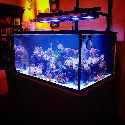 Tropical Fish Store «Glasscages.com LLC», reviews and photos, 1500 E Piney Rd, Dickson, TN 37055, USA