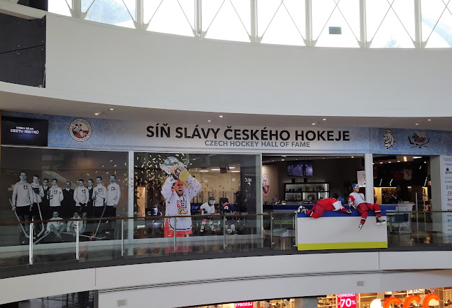 Recenze na Síň slávy českého hokeje v Praha - Muzeum