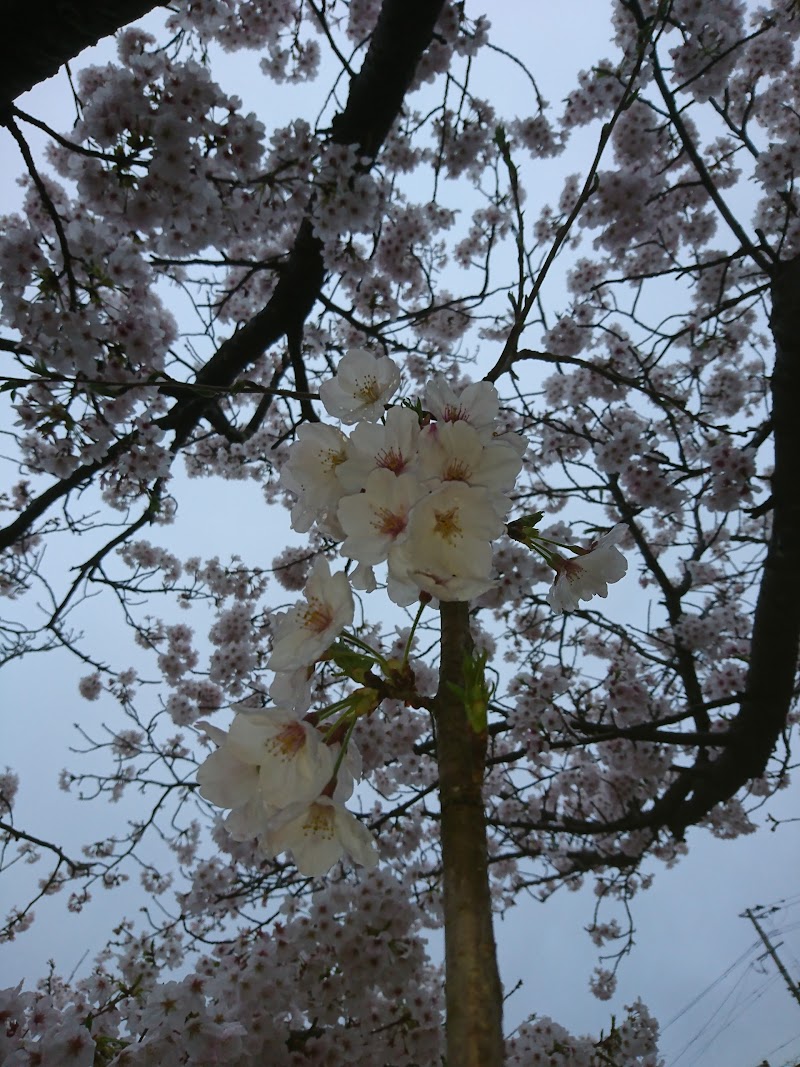 水城少年スポーツ公園