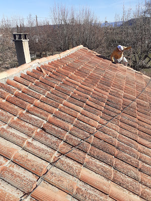 Loubry Rénovation Toiture à Villeneuve