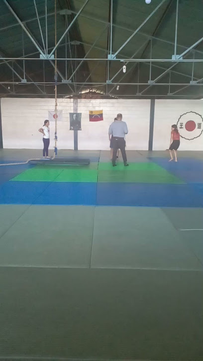 Gimnasio de Judo Municipal - 3M6H+GGW, Barquisimeto 3001, Lara, Venezuela